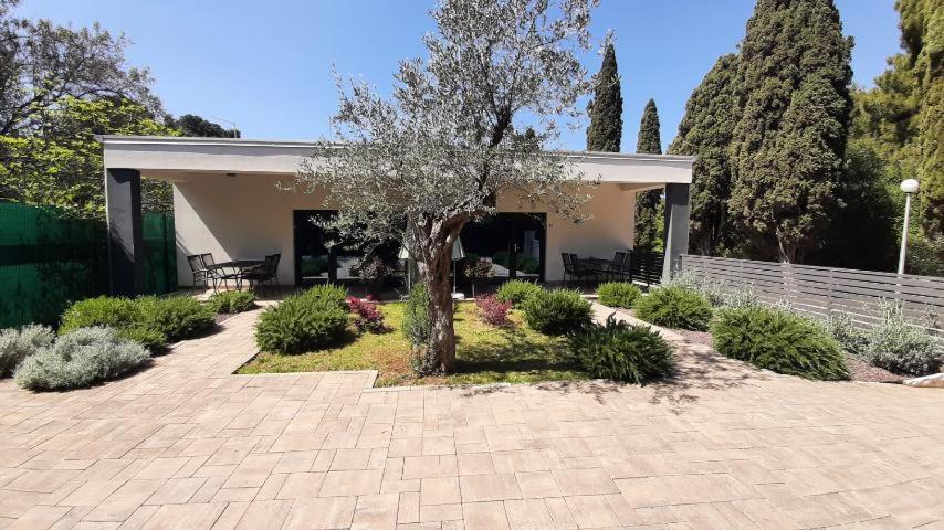 Apartmani Brajkovic Rovinj Exteriér fotografie